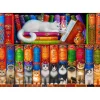 Puzzle Cat Bookshelf