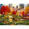 Puzzle Central Park NYC
