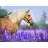 Puzzle Cheval dans un Champ de Lupin