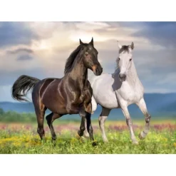 Puzzle Couple de Chevaux