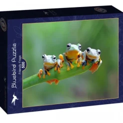 Puzzle Friendly Frogs