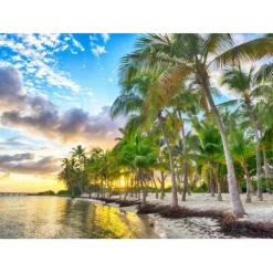 Puzzle Guadeloupe - Anse Champagne