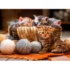 Puzzle Kittens in Basket