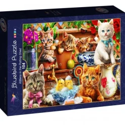 Puzzle Kittens in the Potting Shed