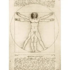 Puzzle Leonardo Da Vinci - The Vitruvian Man, 1490