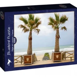 Puzzle Plage de Lacanau, France