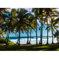 Puzzle Plage et Palmiers, La Réunion, France