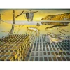 Puzzle Salvador Dalí - The Corpuscular Persistence of Memory, 1952-1954