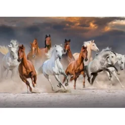 Puzzle The Horse Race