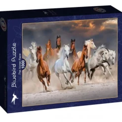 Puzzle The Horse Race