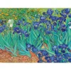 Puzzle Vincent Van Gogh - Irises, 1889